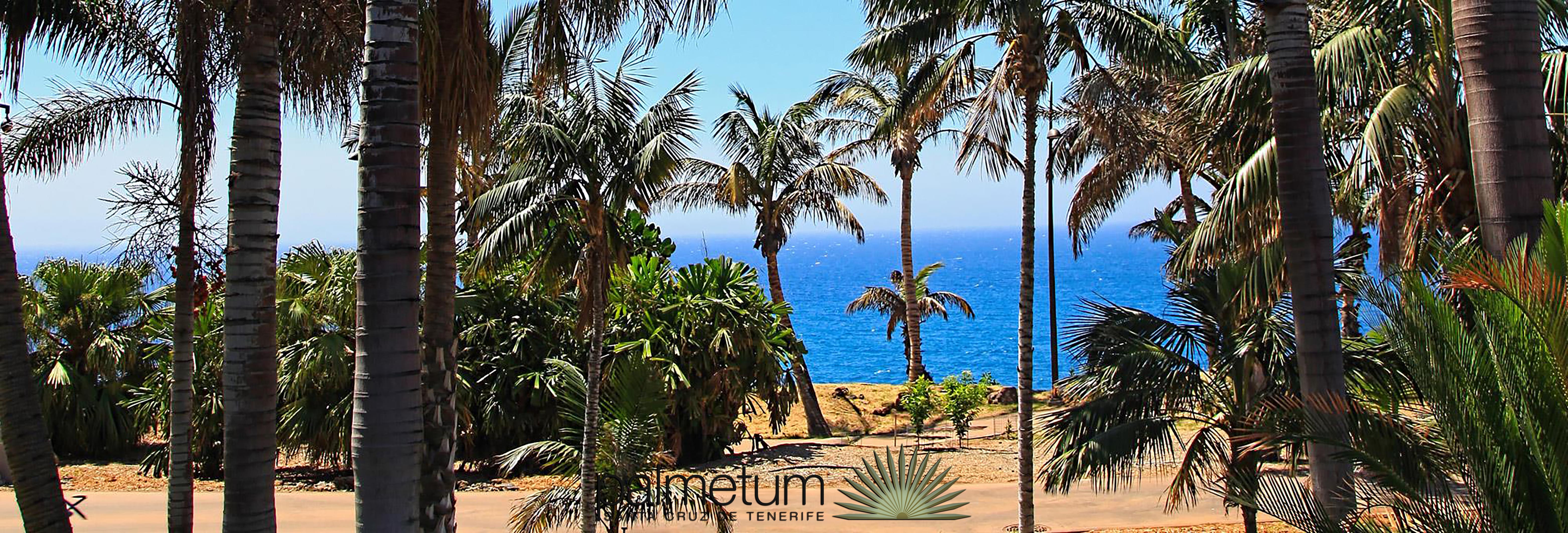 Hotel Adonis Plaza Santa Cruz de Tenerife Bagian luar foto